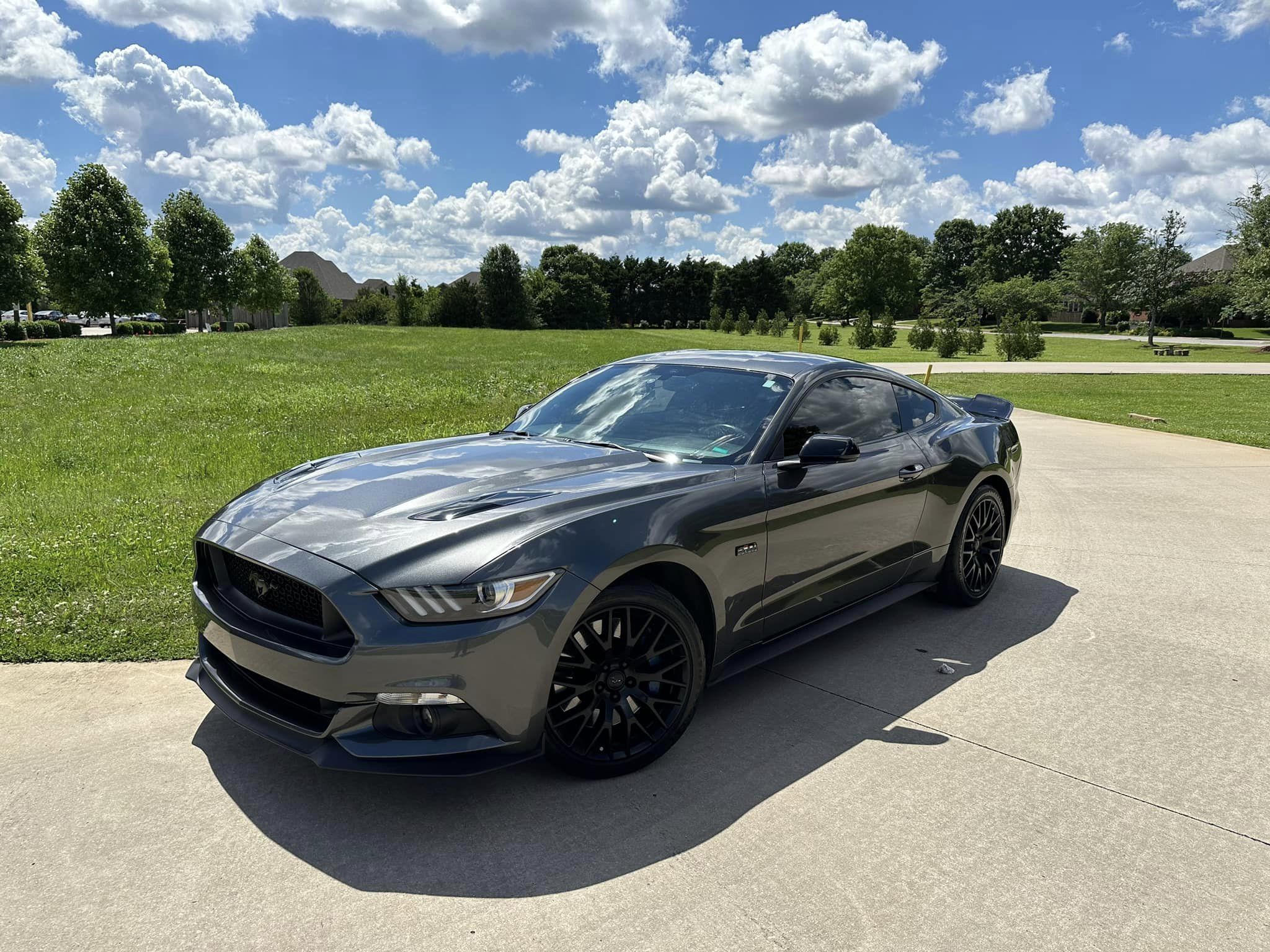 Car show picture